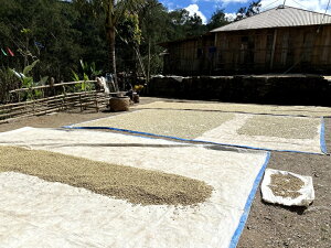 eB[̗L@R[q[@etHz 200gî܂܁jiOSjiȄiƍڕsjiEւ͕̔sj