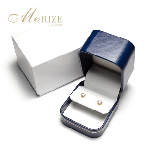 yPiszO lbNX sAX U[ XG[h Vv Mtg P[X _[Nu[ v[g w w GQ[WO