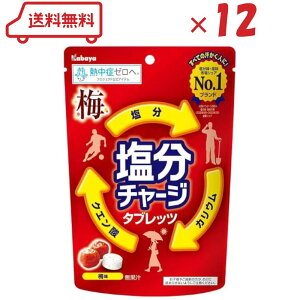 JoHi `[W^ubc ~ 81g×12 ( h{⋋ N e  X|[c  ^ NG_  ܂Ƃߔ Zbg )