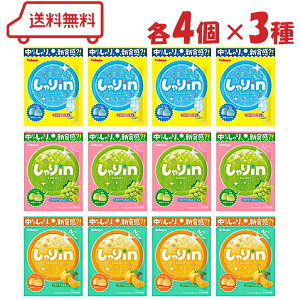 Jo inO~ 3 i \[_ / }XJbg\[_ / ₩݂ je4 v12 A\[g O~ lߍ킹 VHO~ 藱