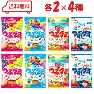 t䐻 ԃO~ 4i ԃO~ / \[_ / oJX / [Og je2v8 A\[g lߍ킹 ܂Ƃߔ  Zbg Ԍi