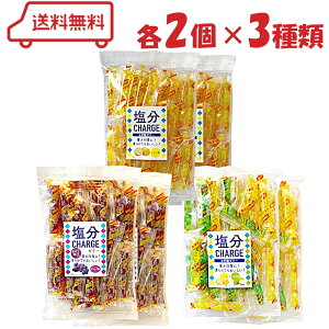 �␻�� �����`���[�W�[���[ 3�� �i ������ / �O���[�v / �����������C�` �j�e2�� �v6�b�A�\�[�g �M���� �΍� �����⋋ �����`���[�W ���� �⋋