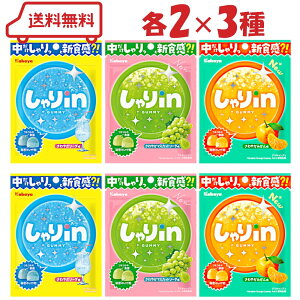 Jo in O~ 3i \[_ / }XJbg\[_ / ₩݂ je2v6 ( A\[g svcH  tbV l킹 Zbg )