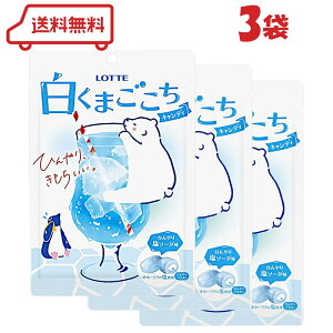 be ܂ LfB Ђ艖\[_ 60g ×3  A lߍ킹 Zbg ⋋ zzp MǑ΍ `[W LOTTE