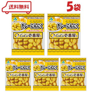 Vi CoCoԉďC J[ɂɂ 50g ×5 Е y J[ jjN 傤 ܂ lߍ킹 r[ƍ ܖ2026N128