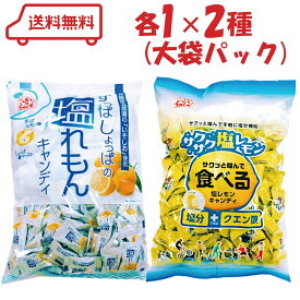 松屋製菓 塩分補給 キャンディ 大袋タイプ 2種 （ 塩レモン/食べる塩レモン ）各1袋 計2袋 アソート 塩分チャージ 熱中症 熱中症対策 飴 アメ 詰め合わせ