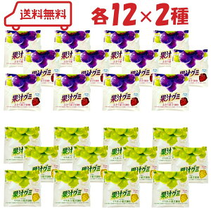 明治 果汁グミ スマートパック 2種( ぶどう / マスカット )各12計24袋( 果汁100 着色料不使用 お子様にもおすすめ 食べきりサイズ アソート セット )