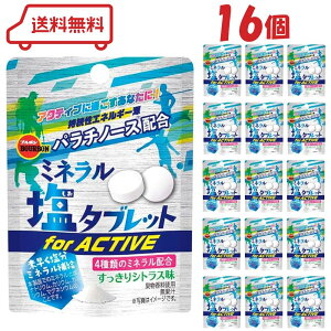 u{ ~l^ubg for ACTIVE 21g × 16 VgX ⋋ MǑ΍ uhE 4ނ̃~lz `bNt