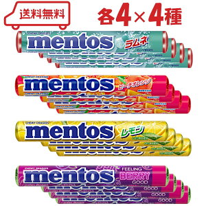 gX 4il /s[`IW /  / tB[Ox[Obh je4v16 | `[COLfB A\[g  A lߍ킹 Zbg