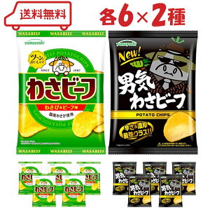 RF |eg`bvX 2i킳r[t/jC킳r[tje6v12܁b A\[g XibNَq |e` R Tr c[Ƃh ܂Ƃߔ Zbg