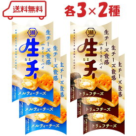 湖池屋 生・チー 2種（ メルティーチーズ/トリュフチーズ ）各3計6個 | アソート スナック おつまみ お茶菓子 お茶うけ 一口 さくさくパイ チーズパイ
