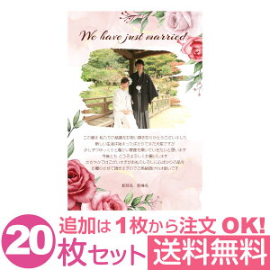 yȂ̎ʐ^Ƃ1OKz  ʐ^ 20Zbg IWi bZ[WJ[h  j oYj Cj j Ԃ  
