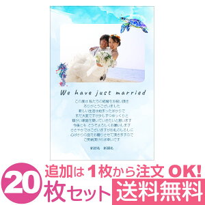yȂ̎ʐ^Ƃ1OKz  ʐ^ 20Zbg IWi bZ[WJ[h  j oYj Cj j Ԃ  