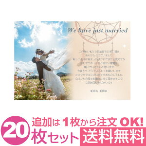 yȂ̎ʐ^Ƃ1OKz  ʐ^ 20Zbg IWi bZ[WJ[h  j oYj Cj j Ԃ  