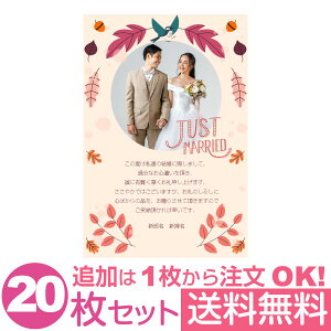 yȂ̎ʐ^Ƃ1OKz  ʐ^ 20Zbg IWi bZ[WJ[h  j oYj Cj j Ԃ  