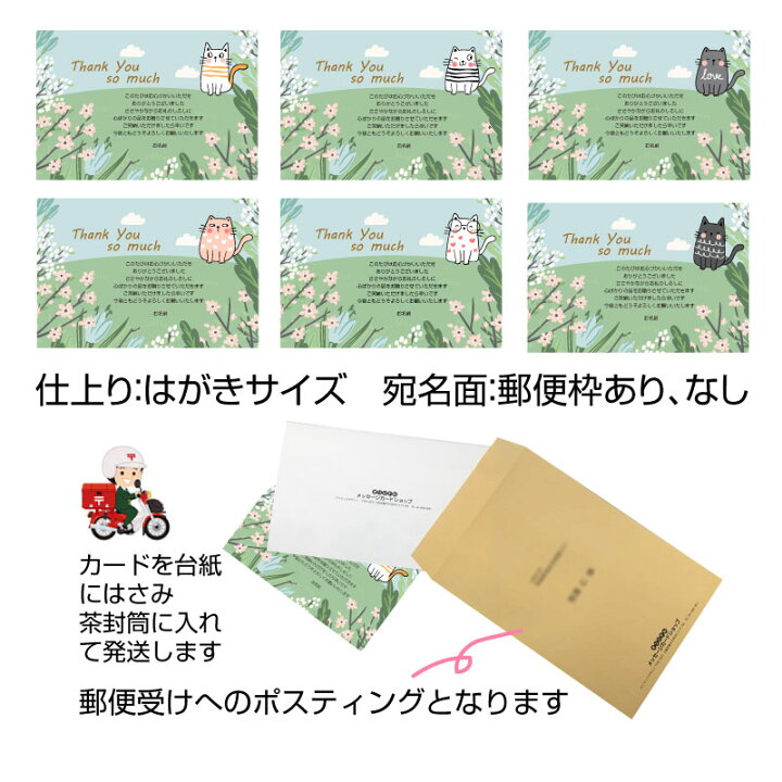 楽天市場 あなたのあいさつ文を入れて1枚から印刷ok オリジナル メッセージ カード レター ポストカード グリーティングカード あいさつ状 お礼状 結婚 出産 内祝い 手紙 オリジナル文 印刷 多用途 猫 写真deメッセージカードショップ