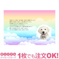 【大切なペットの写真を入れて1枚から印刷OK】ペット メモリアルカード 虹の橋 花と虹 愛犬 愛猫 愛鳥 カ…