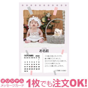 yȂ̂1OKz ʐ^ IWi 10 J_[ bZ[WJ[h oY oYj j Cj j j Ԃ  A