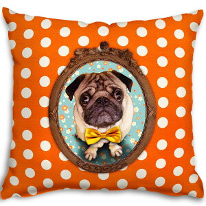 �y�|�C���g3�{�z �p�O �� �N�b�V���� 45×45cm �y �������� �z LUCIE DANCETTE �����V�[�_���Z�b�g �C�k �D�� ���q �� �� ���� �� �\�t�@�[ �� �A�N�Z���g �� ���킢�� �N���X�}�X �v���[���g �C���e