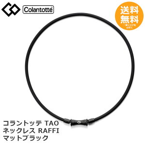 Rgbe TAO lbNX RAFFI@}bgubNy[֑z