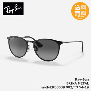 RayBan ���C�o�� �T���O���X ERIKA METAL RB3539 002/T3 54-19�y���������z