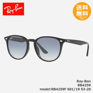 RayBan ���C�o�� �T���O���X RB4259 RB4259F 601/19 53-20 �y���������z