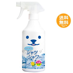 Ђ VcV[ yz ЂObY ΍ ăACe ߗނɃXv[