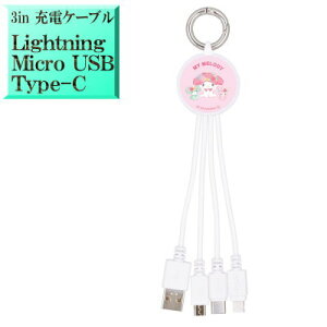 }C }CfB TI sang-297mm LN^[ 3in}` [dP[u [d y LightningP[u for iphoneSE iphone8 iphone16 iphone14 iphone15 zy MicroUSBP[u for AhCh Android X}