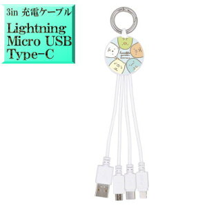 ݂R炵 ݂炵 smk-166a LN^[ 3in}` [dP[u [d y LightningP[u for iphoneSE iphone8 iphone16 iphone13 iphone14 iphone15 zy MicroUSBP[u for AhCh Android 