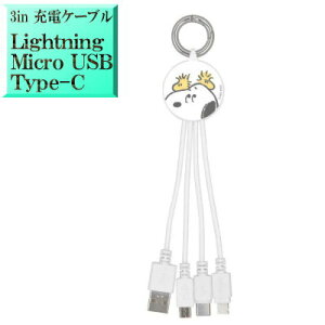 Xk[s[ s[ibc SNGG-57C LN^[ 3in}` [dP[u [d y LightningP[u for iphoneSE iphone8 iphone16 iphone13 iphone14 iphone15 zy MicroUSBP[u for AhCh Android X}[g