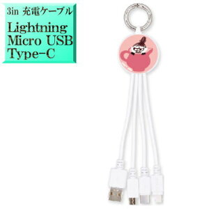 g~B [~ MMN-218B LN^[ 3in}` [dP[u [d y LightningP[u for iphoneSE iphone8 iphone15 iphone13 iphone14 iphone16 zy MicroUSBP[u for AhCh Android X}[gt
