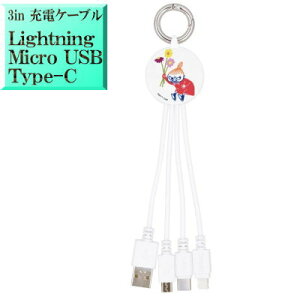 g~B [~ MMN-245B LN^[ 3in}` [dP[u [d y LightningP[u for iphoneSE iphone8 iphone15 iphone13 iphone14 iphone16 zy MicroUSBP[u for AhCh Android X}[gt