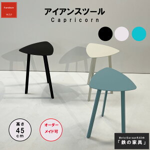 ACAXc[ w Capricorn x k CeA ֎q Xc[ `FA    ubN zCg Vv _ | JE^[`FA TChe[u X ACA`FA ACA