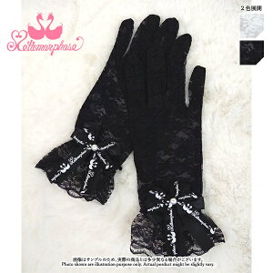 ^tH[[@[X܁EV[gi[Xtjy[^t@bV B^z