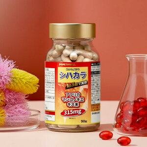 ^EF VnJ 90 i30jSIHAKARA Tvg L-Jj` z^mLGLX o[o ILA~o Ӟo {킳їtGLX