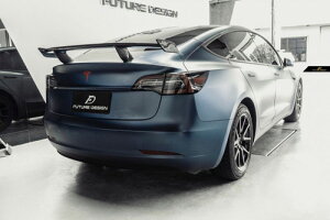yFUTURE DESIGNzTESLA eX MODEL f 3 gNpAEBO AX|C[ {Drycarbon hCJ[{ JX^ ptH[}X