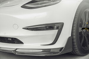 yFUTURE DESIGNzTESLA eX MODEL f 3 tgop[p Xvb^[ Ji[h X|C[ {Drycarbon hCJ[{GA JX^ ptH[}X
