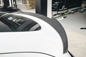 yFUTURE DESIGNzTESLA eX MODEL f Y gNp AX|C[ {Drycarbon hCJ[{GA JX^ ptH[}X