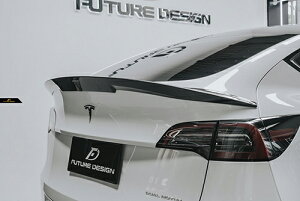 yFUTURE DESIGN KizTESLA eX MODEL f Y gNp V2 AX|C[ {Drycarbon hCJ[{GA JX^ ptH[}X