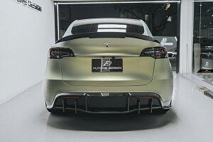yFUTURE DESIGNzTESLA eX MODEL f Y fBt[U[ {Drycarbon hCJ[{ GA JX^ ptH[}X