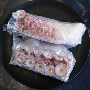  kCY hgp 500g Ⓚ  R  Hp VN ^Ⓚ  CN ܂  Mtg