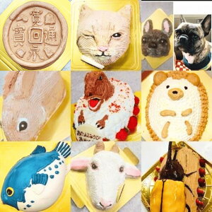 LN^[ a ̃P[L Iׂ515cm` o[Xf[P[L v[g q  j j   XC[c Mtg  fR[V TvCY 킢 