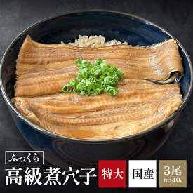 国産高級 ふっくら煮穴子 特大 40cm 3尾 540g 1本物 特製肝だれ漬け煮あなご 真空冷凍パック 湯煎 簡単調理 寿司 丼 本格 アナゴ