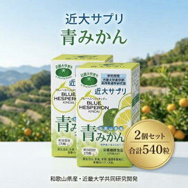 楽天市場】プロバイオティクスK12 30粒 フェアユング口内炎 口臭 口内 