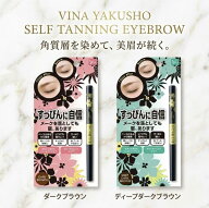ビナ薬粧 セルフタンニング アイブロウ ST 眉墨 眉ティント 落ちにくい 汗 水 皮脂 にじみにくい フェル…