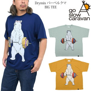 �S�[�X���[�L�����o�� go slow caravan T�V���c ���� �����Y Drymix �o�[�x���N�} BIG TEE 345601 2025SS sst �y���z2505trip[M�� 1/1]