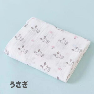  K[[ Ԃ K[[ I[V[Y@X xr[ uPbg Rbg V[c Q oYj oY މ@ K[[Pbg ۈ牀 ct  މ@ 