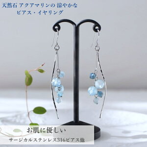 y|Cg10{ 11/11 1:59zANA} sAX CO hsAX Ԃ牺 T[WJXeXsAX 316L AM[Ή Cgu[ C u₩ CO h