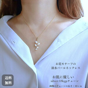 Wp[̃lbNX t[  {^jJ @ Mtg v[g i i Vo[925 18R[eBO S[hJ[ AM[Ή tF~j D  IP