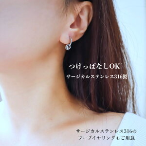 ςȂOK Vo[gjeBO t[vsAX t[vCO T[WJXeX 316L AM[Ή ςȂ ȒP C u₩ Vv s ][g